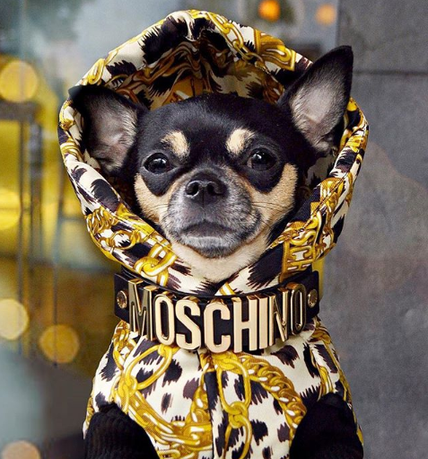 Moschino x H&M